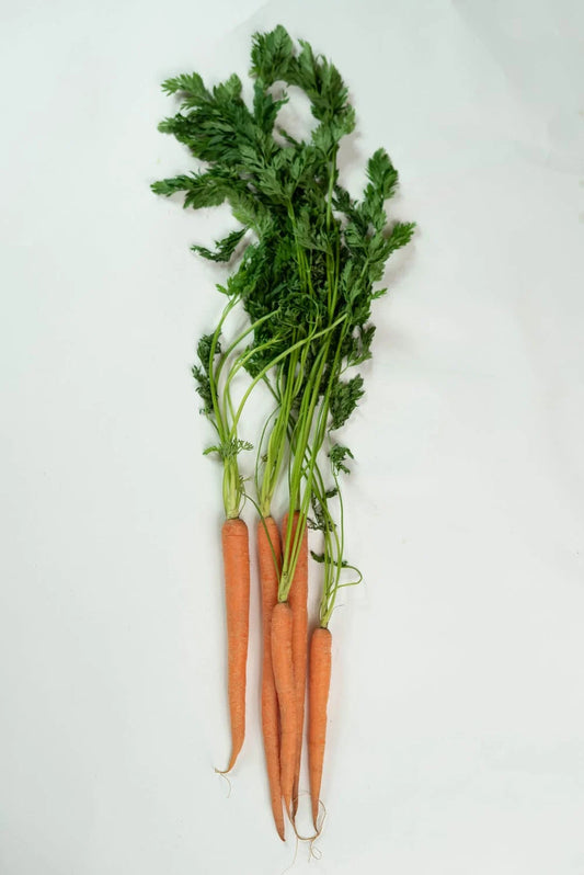 Bio Karotten Würfel (100g)